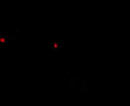 Tom Stephan -aka Superchumbo - 02.04.2007 Studio, nYc