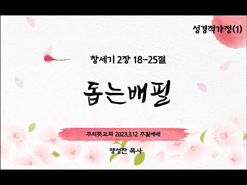 성경적가정(1), 창세기 2장 18-25절, 돕는 배필, 양성찬 목사 영상 썸네일