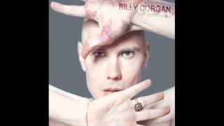 Billy Corgan- Now (And Then)