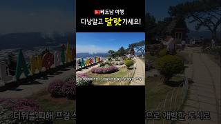 ??베트남 여행은 달랏인 이유? 다낭은 이제 그만?‍♀️ 달랏으로 가세요~✈️