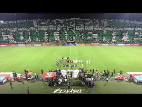 "ESPECTACULAR RECIBIMIENTO EN LA RECOPA" Barra: Los del Sur • Club: Atlético Nacional