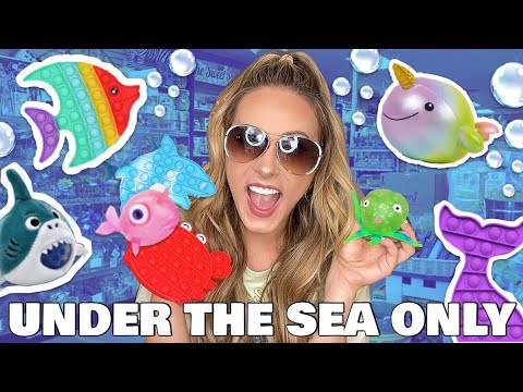 UNDER THE SEA ONLY FIDGET SHOPPING CHALLENGE 🐬🦀🐡
