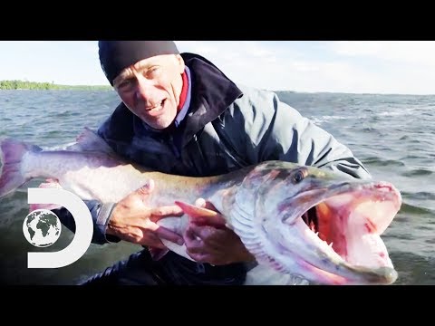ジェレミーは彼の人生の最も特別なキャッチの一つを作る｜リバーモンスターズ (Jeremy Makes One Of The Most Extraordinary Catches Of His Life | River Monsters)