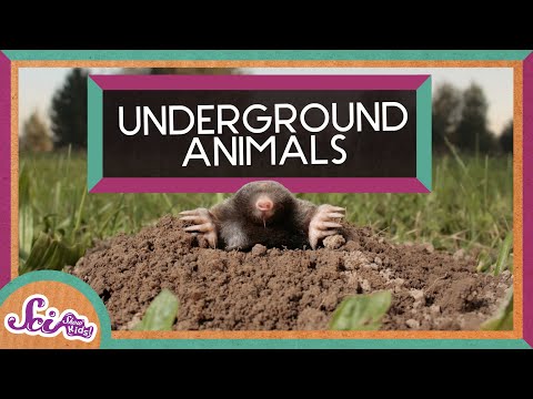 What's It Like to Live Underground?