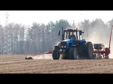 В регионе начался сев кукурузы. Под эту культуру отведено около 250 тысяч гектаров видео