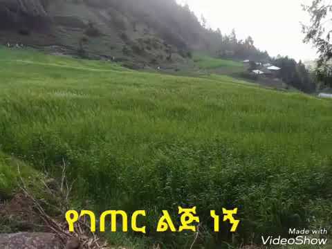 የገጠር ልጆች ኑ ዘና እንበል