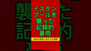 [切り抜き]イスタンブールを襲った記録的豪雨 続きは本編へ