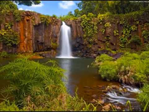 Mi alma tiene sed del Dios vivo - SALMOS 42