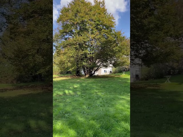 Villa singola in residence a Casatenovo