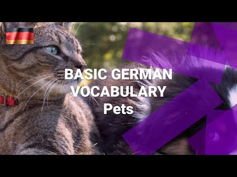 Basic German Vocabulary What Are the Numbers One to Ten in German
