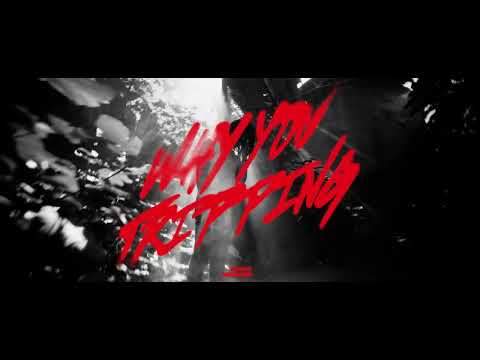 BABYMURDA - WHY YOU TRIPPING