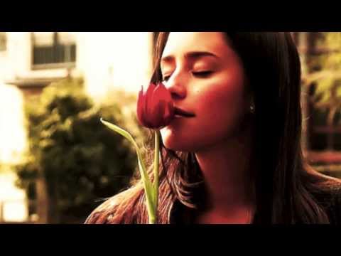 Páginas da Vida (Instrumental) - Movimento de Primavera