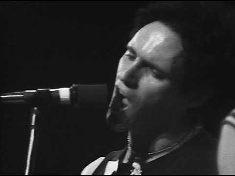 THE LEWD VERY FIRST SHOW AUG 6, 1977 VANCOUVER, CANADA