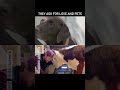 Cows And Cats Love Their Human Friends ️ Shorts Cat Cow
