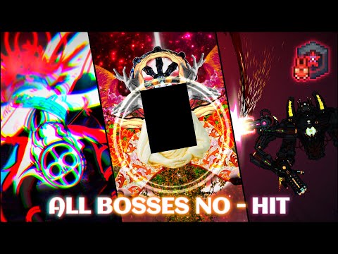 ALL BOSSES NO-HIT | Calamity: Wrath of the Gods (Master + Death Mode)