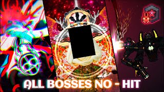 ALL BOSSES NO-HIT | Calamity: Wrath of the Gods (Master + Death Mode)