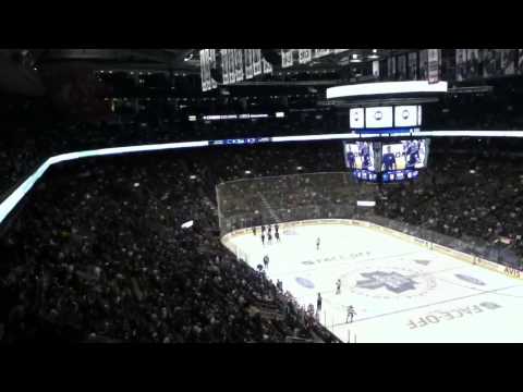 Me at leafs game pt 1 james reimer injury