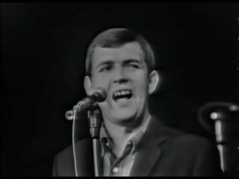 Cliff Bennett & The Rebel Rousers - Hold On Im Coming (1966)