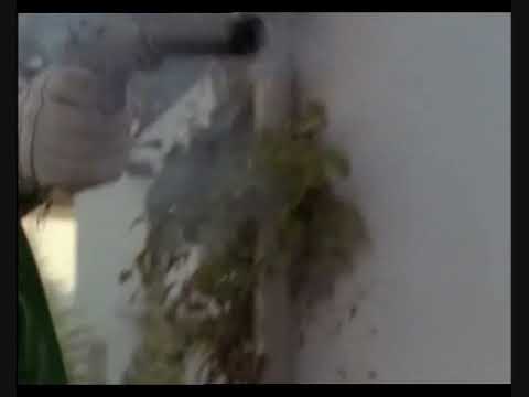 Die Motorrad Cops S01E03 - Scene 2