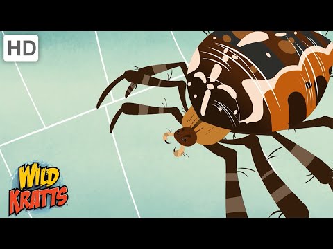 Wild Kratts | Bugs Part 1 | Insects, Arachnids, Worms and other Creepy Crawlies