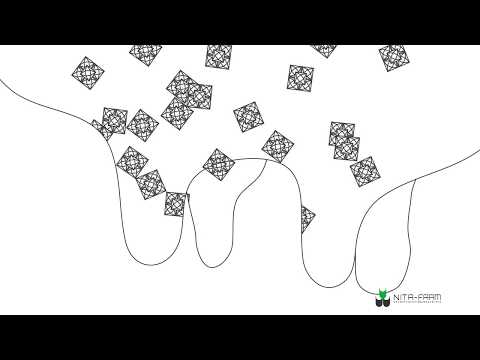 Миниатюра изображения товара Раствор антибактериальный для животных Nita-Farm Цефтонит форте (100мл)