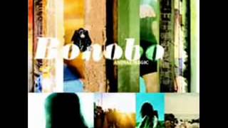 Bonobo- Kota