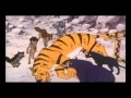 The Jungle Book Episode 39 Hindi Cartoon