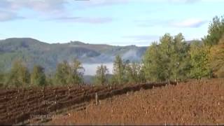 Vino i Vinogradarstvo - Jungic (Banja Luka) Vino i Vinogradarstvo - Jungic (Banja Luka)