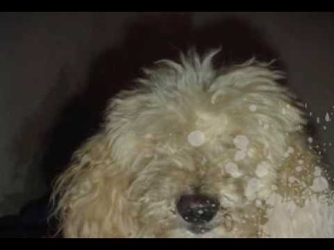 I.Vanish feat. OverDose - Beda mestnega blišča