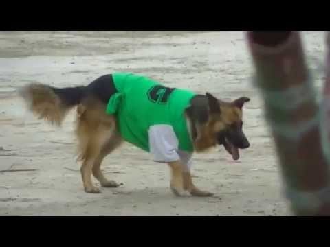 CURIOSIDADES: Petroquímica - Huracán