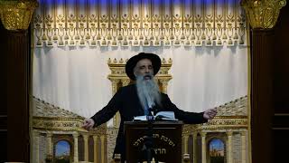הרב מאיר דוד שמואלי שליט"א - שידור חי יום א - פרשת תצוה תשפ"ו