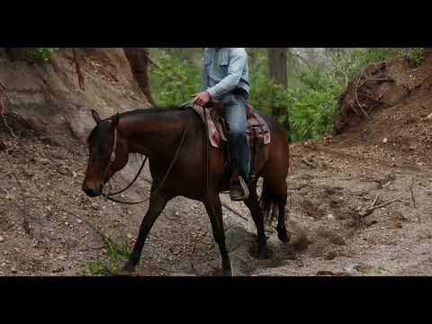 youtube preview