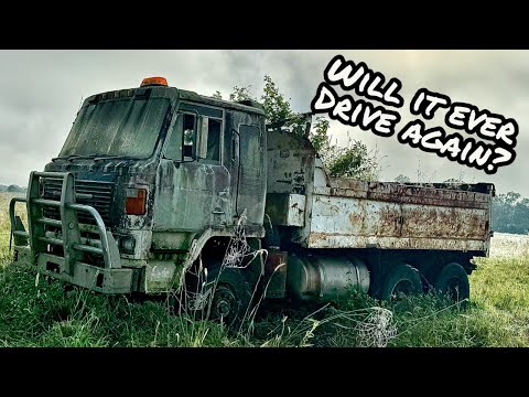 Will it START & DRIVE out of this SWAMP? OLD Diesel Dump Truck SITTING for YEARS!