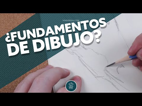 Learn to Draw: What are the basics of drawing? | neo VIVE