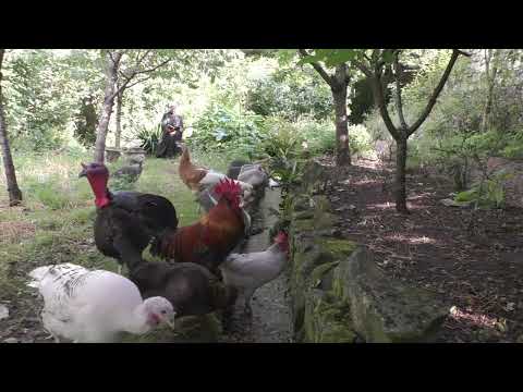 Morning Prayer –Wednesday, 4th August 2021