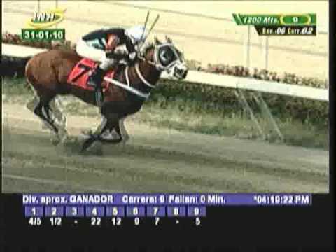 Resumen Domingo, 31 de Enero de 2016 - La Rinconada