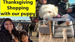 Black Friday Shopping with  little puppy ~Day in my life with our sweet puppy~ Family Traveler VLOG