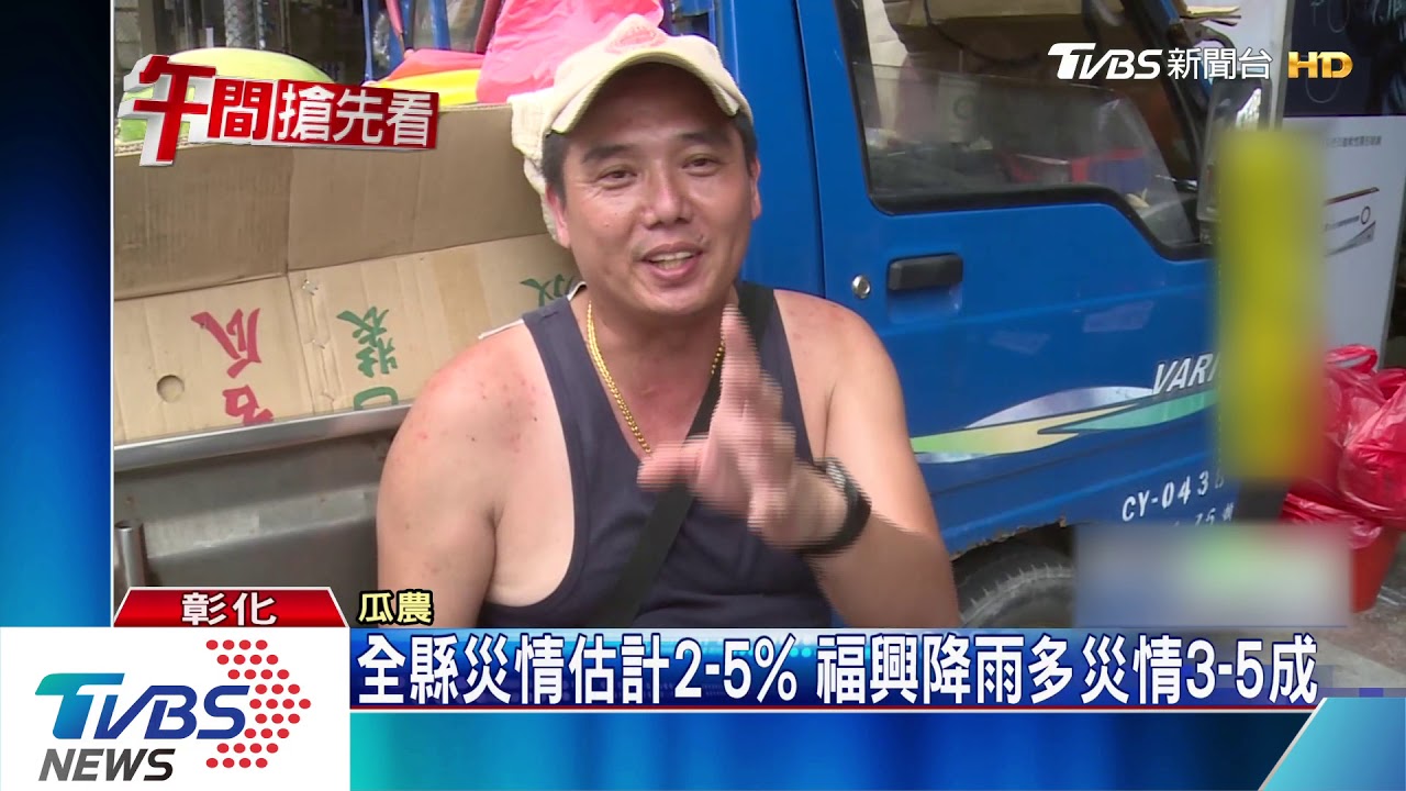 西瓜爛了!瓜苗病蟲害 大雨後日曬又裂果
