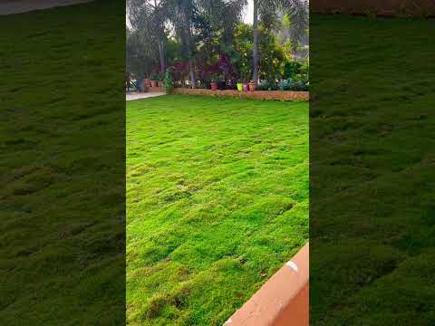 Jabeen’s Garden view point 1