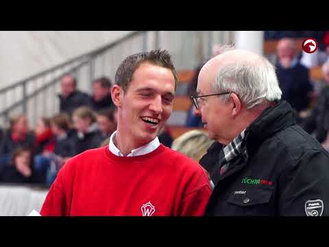 Impressionen | Reitpferdehengste | Körung des Westfälischen Pferdestammbuches 2017