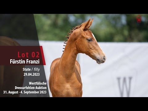 Dressurfohlen-Auktion Lot 02 Fürstin Franzi Stute v. Fanegro - Escolar