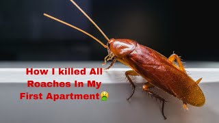 How To Get Rid Of Roaches In 30 Days