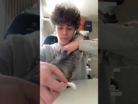 Svp j’ai besoin de votre avis aide de l’urgence , donnez des conseils urgent dans les commentaires