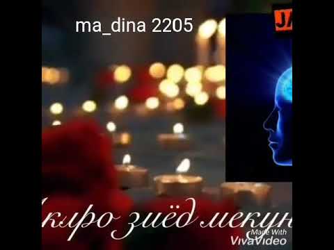 Фоидахои Мисвок