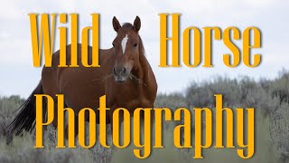 Wild Horses: An Epic Photography Adventure Out West