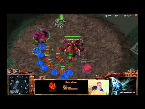 sc2coach - 1vs1 von Bronze bis Master mit Zerg (NA) #5
