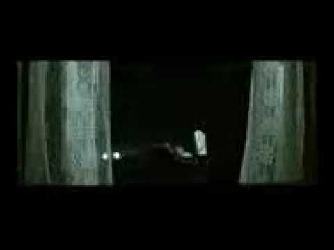 Droogyboyz, usw.(19)