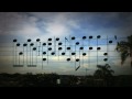 Birds on The Wires 
