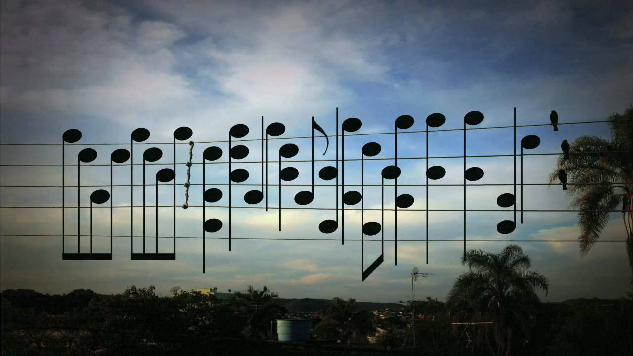The Birds Were Sitting on a Wire. He Saw a Song.