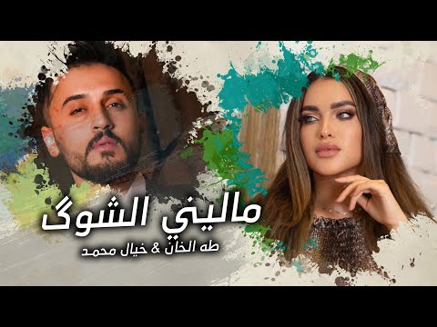 ماليني الشوك طه خان